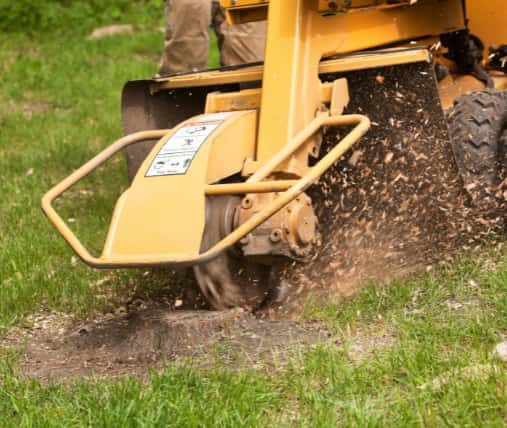 This is a photo of a stump grinding machine being used to remove a tree stump in a field. Photo taken by Felixstowe Tree Surgeons.